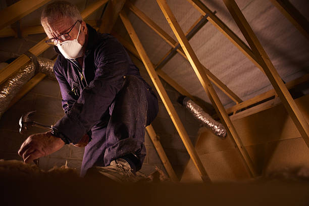 Professional Insulation Contractor in Progress, PA